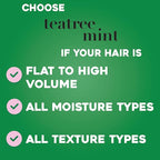 Mint Shampoo - 385 ml