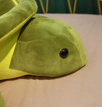 Turtle Plush Toy